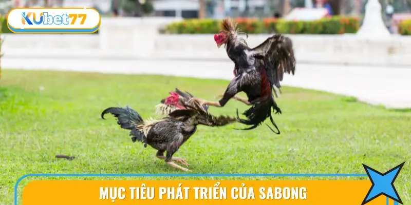 Những mục tiêu của sabong đối với người chơi