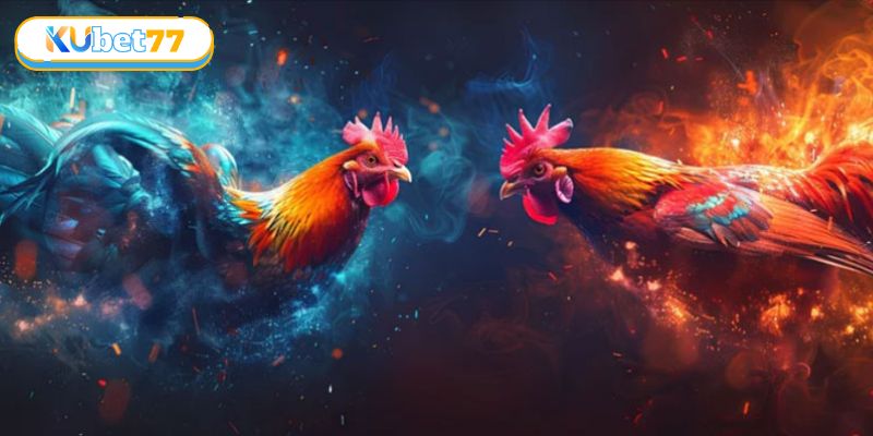 Mẹo hay để đặt cược trong sân chơi đá gà cựa sắt và rinh thưởng lớn