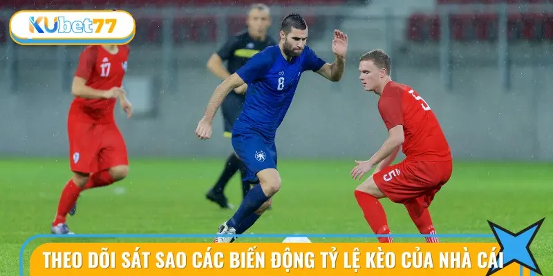 Theo dõi sát sao các biến động tỷ lệ kèo của nhà cái